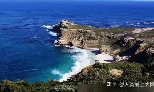 通肠草长什么样-通肠草图片网-分享通肠草能治什么病，通肠通便最快最好的方法知识库