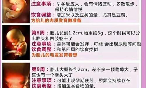 通肠草图片网-分享通肠草能治什么病，通肠通便最快最好的方法知识库