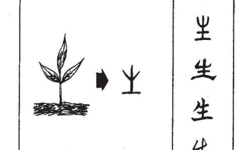 通肠丸功效与作用及禁忌-通肠草图片网-分享通肠草能治什么病，通肠通便最快最好的方法知识库